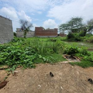 Image of 1350 Sq.ft Residential Plot / Land for sale in Sukhravali, Aligarh for Rs. 950000