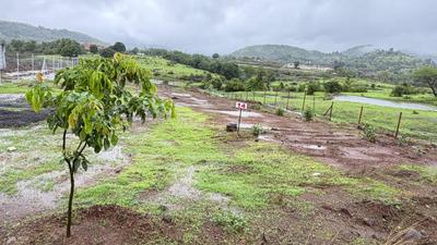 Image of 12422 Sq.ft Residential Plot / Land for sale in Samundi, Nashik for Rs. 4564000