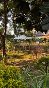 Image of 670 Sq.ft Residential Plot / Land for sale in Palam Vihar, Gurgaon for Rs. 185000000