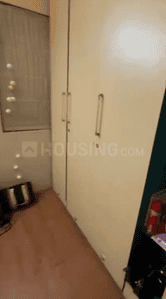 Image of clover trump in Sangamvadi, Pune