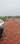 Raibareli road More Images 2