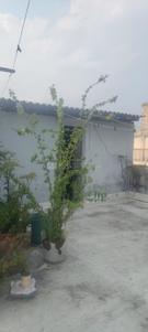 Image of 3600 Sq.ft 4.5 BHK Independent House for sale in Kalighat, Kolkata for Rs. 22000000