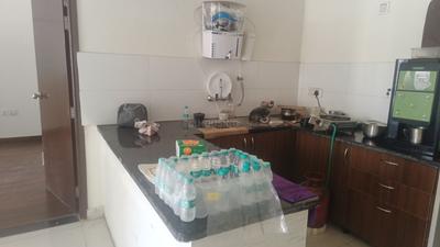 Kitchen Image of 795 Sq.ft 1 BHK Apartment / Flat for rent in Cosmos Express 99, Sector 99 Gurgaon for Rs. 20000