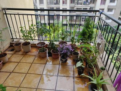 Balcony Image of 1050 Sq.ft 2 BHK Apartment / Flat for sale in Pride Purple Park Xpress, Baner Pune for Rs. 11500000