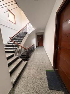 Image of 950 Sq.ft 2 BHK Apartment / Flat for rent in Saket, New Delhi for Rs. 30000