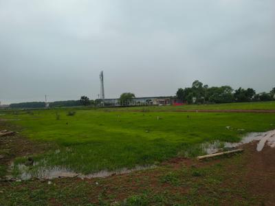 Image of 1000 Sq.ft Residential Plot / Land for sale in Naya Raipur, Raipur for Rs. 771000