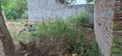 Image of 900 Sq.ft Residential Plot / Land for sale in Jasana, Faridabad for Rs. 1300000