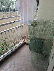 Balcony Image of 1268 Sq.ft 2 BHK Apartment / Flat for sale in Subiksha Habitat, Kaggadasapura Bengaluru for Rs. 9000000