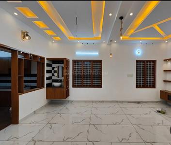 Hall Image of 1800 Sq.ft 3 BHK Independent House for sale in Bhatagaon Raipur for Rs. 5800000