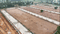 VYKUNTHAPURAM Plot View 2