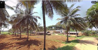 Image of 6269 Sq.ft Residential Plot / Land for sale in Kongavanipalem, Vizianagaram for Rs. 52000000