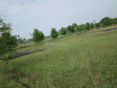 Image of 1494 Sq.ft Residential Plot / Land for sale in Bhogapuram, Vizianagaram for Rs. 1600000