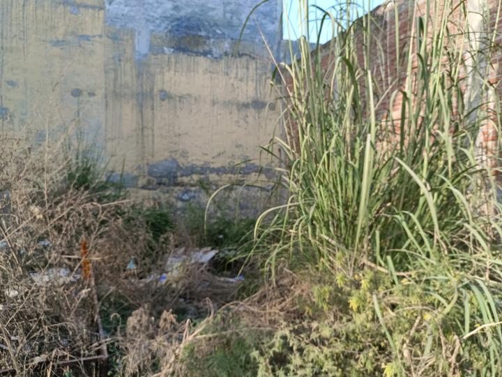 Residential 675 Sqft Plot for sale at Burari, New Delhi Property ID