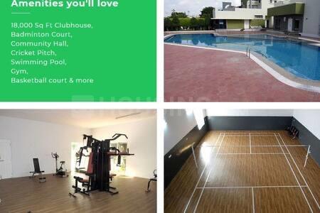 Vakil Daffodils Main Image 1