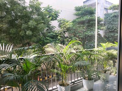 Living Room Image of 1750 Sq.ft 3.5 BHK Builder Floor for sale in Vipul World, Sector 48 Gurgaon for Rs. 23500000