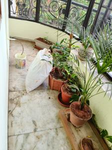 Balcony Image of 1366 Sq.ft 3 BHK Apartment / Flat for sale in Adyar Chennai for Rs. 24000000