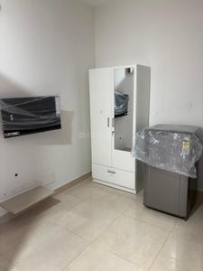 Hall Image of 299 Sq.ft 1 RK Apartment / Flat for rent in CANVAS &amp; COVE, Begur Bengaluru for Rs. 25000