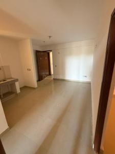 Hall Image of 745 Sq.ft 3 BHK Apartment / Flat for sale in ROF Amaltas, Sector 92 Gurgaon for Rs. 7000000