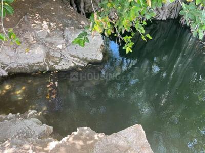 Image of 3300 Sq.ft Residential Plot / Land for sale in Palayamkottai, Tirunelveli for Rs. 3150000