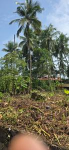 Image of 3484 Sq.ft Residential Plot / Land for sale in Chevarambalam, Kozhikode for Rs. 10400000