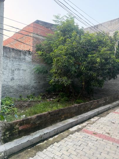 Para Main Image 1