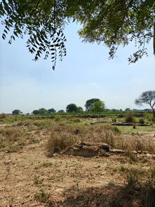 Image of 10000 Sq.ft Residential Plot / Land for sale in Jhalwa, Allahabad for Rs. 15000000