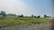 Shree gokul green farms Main Image 1