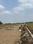 Alaska Green West Phase Plot View 2