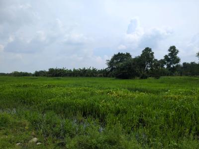 Image of 720 Sq.ft Residential Plot / Land for sale in Joka, Kolkata for Rs. 170007