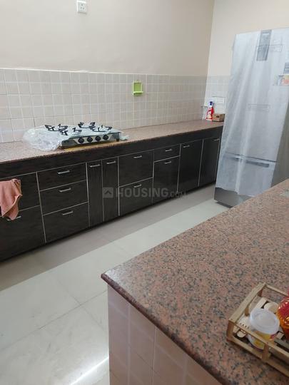 Rajinder Singh Market, Sector 28 Kitchen 1