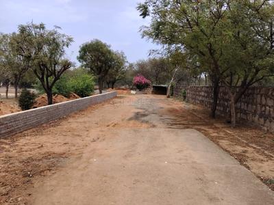 Image of 1271 Sq.ft Residential Plot / Land for sale in Asola, New Delhi for Rs. 57195000