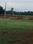 Esr Srikala Classic Plot View 2