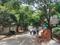 Eastwood Township, Harlur Plot View 2