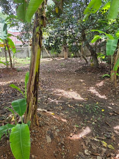 Thrikkakara, Edappally Main Image 1