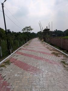 Nest Valley Internal Roads 3