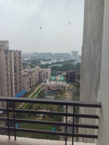 Balcony Image of 1000 Sq.ft 2 BHK Apartment / Flat for rent in Today Kings Park, Omega IV Greater Noida for Rs. 18000