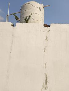 Image of 600 Sq.ft 1 BHK Independent House for sale in Naka Hindola, Lucknow for Rs. 2900000