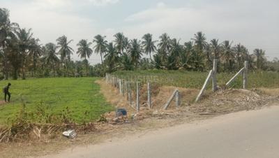 Image of 9156 Sq.ft Residential Plot / Land for sale in Old Rayakottah Hudco, Hosur for Rs. 8400000