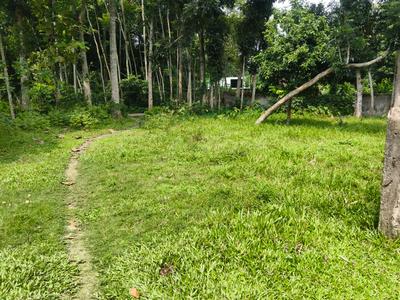Image of 2880 Sq.ft Residential Plot / Land for sale in Krishnanagar, Nadia for Rs. 3000000