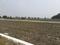 Kakrala Plot View 2