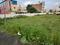 Leelavathi Nagar Main Image 1