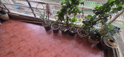 Balcony Image of 1350 Sq.ft 2 BHK Apartment / Flat for sale in Bhoomi Harmony, Kamothe Navi Mumbai for Rs. 12500000