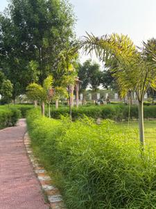 Image of 2000 Sq.ft Residential Plot / Land for sale in Indiabulls Greens, Panvel, Navi Mumbai for Rs. 7000000