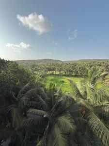 Balcony Image of 1829 Sq.ft 3 BHK Apartment / Flat for sale in Assagao Goa for Rs. 41000000
