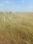 Zaheerabad Plot View 2