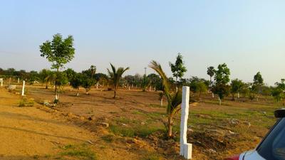 Image of 242 Sq.ft Residential Plot / Land for sale in Nedunur, Hyderabad for Rs. 2900000