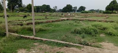 Image of 3000 Sq.ft Residential Plot / Land for sale in Mungari, Allahabad for Rs. 3000000