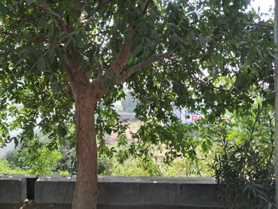 Image of 162 Sq.ft Residential Plot / Land for sale in Sector 151, Noida for Rs. 25000000