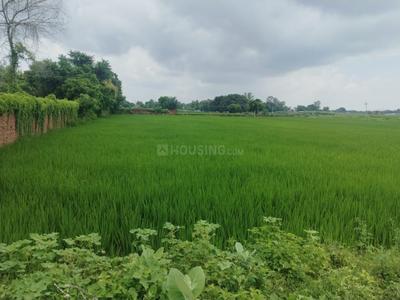 Image of 43560 Sq.ft Residential Plot / Land for sale in Ashapur Village, Ayodhya for Rs. 67000000
