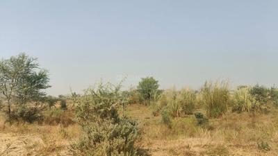 Image of 1800 Sq.ft Residential Plot / Land for sale in Jagatpura, Jaipur for Rs. 8400001